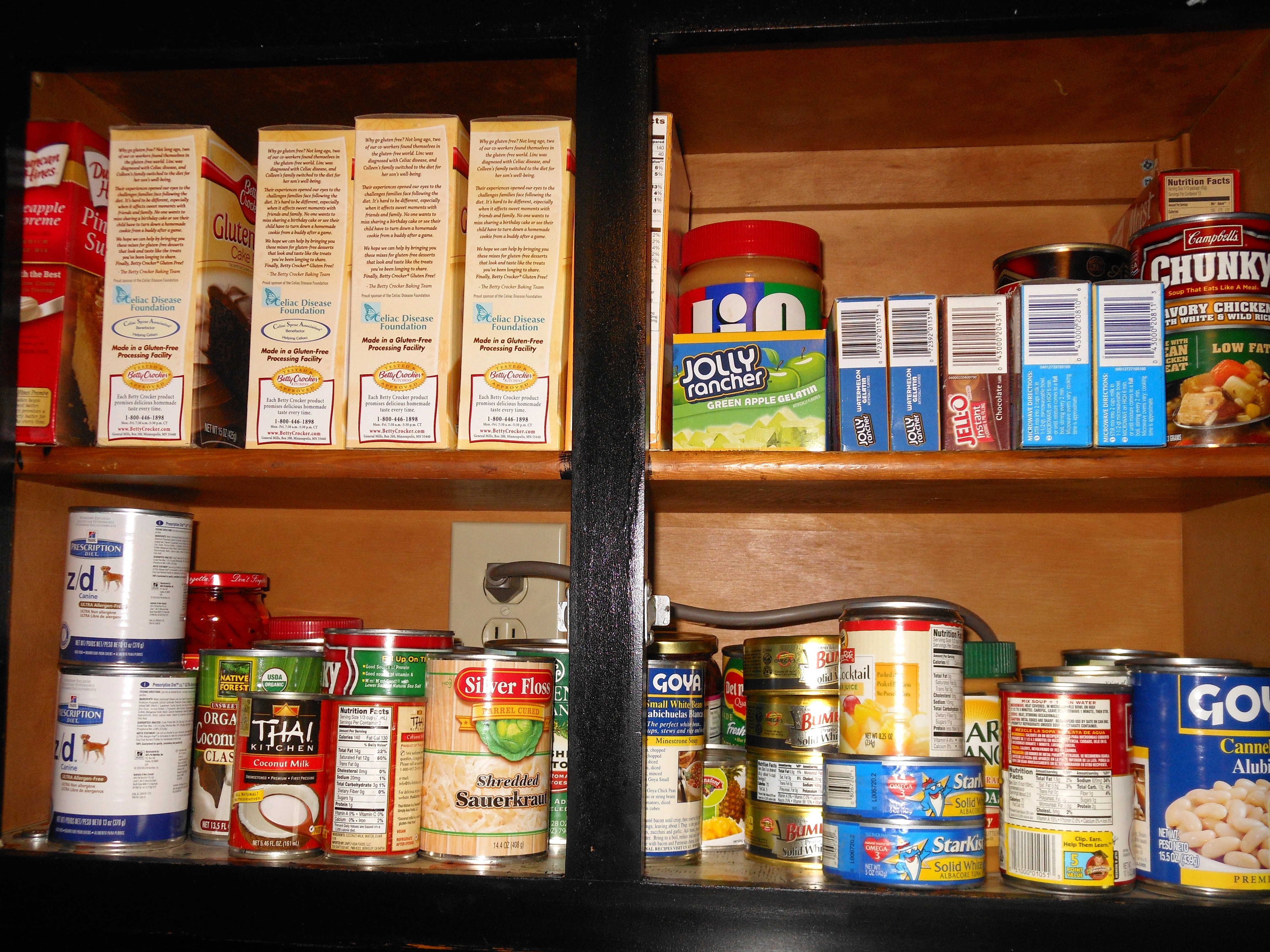Photo of Pantry Cabinet Before Purge/Sort